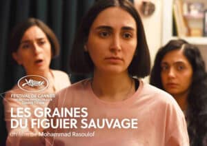 Les graines du figuier sauvage