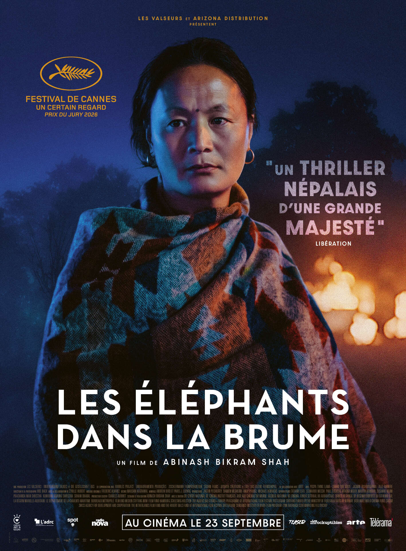 LES ÉLÉPHANTS DANS LA BRUME